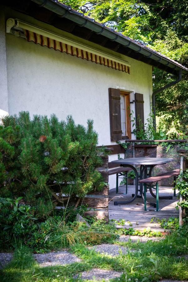 Schetteregg Apartment *