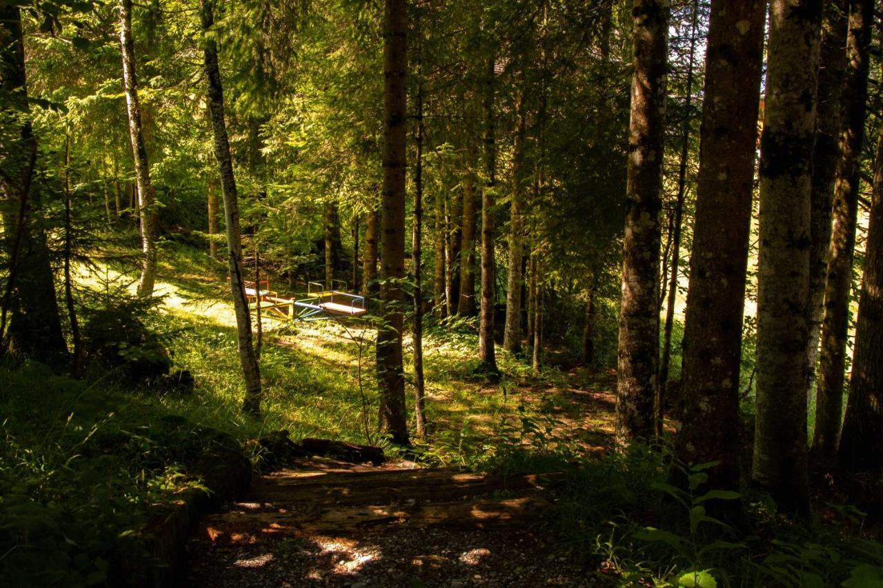 Apartamento Schetteregg